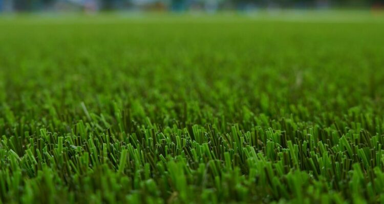 Artificial Lawns